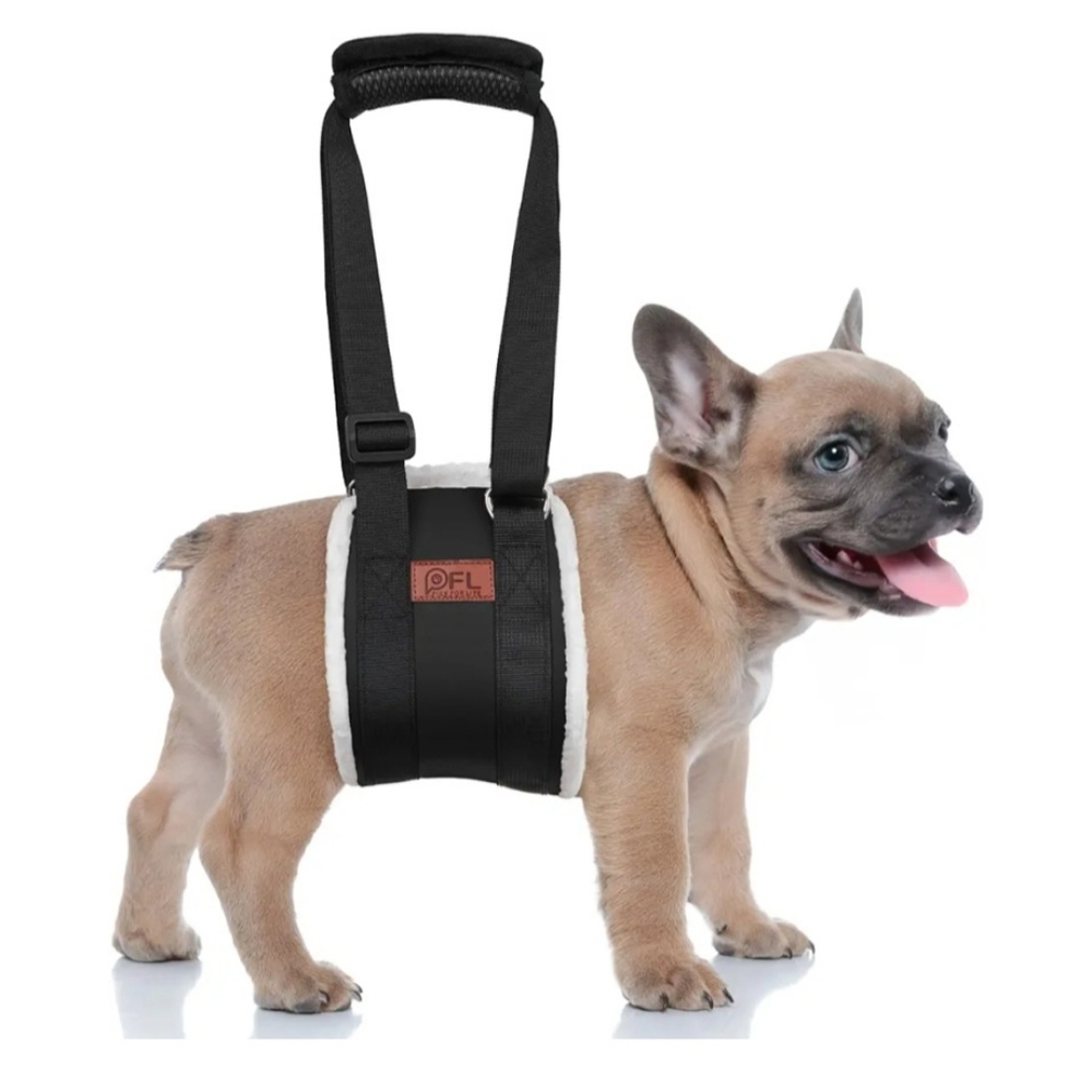 Dog Lift Harness - Black
